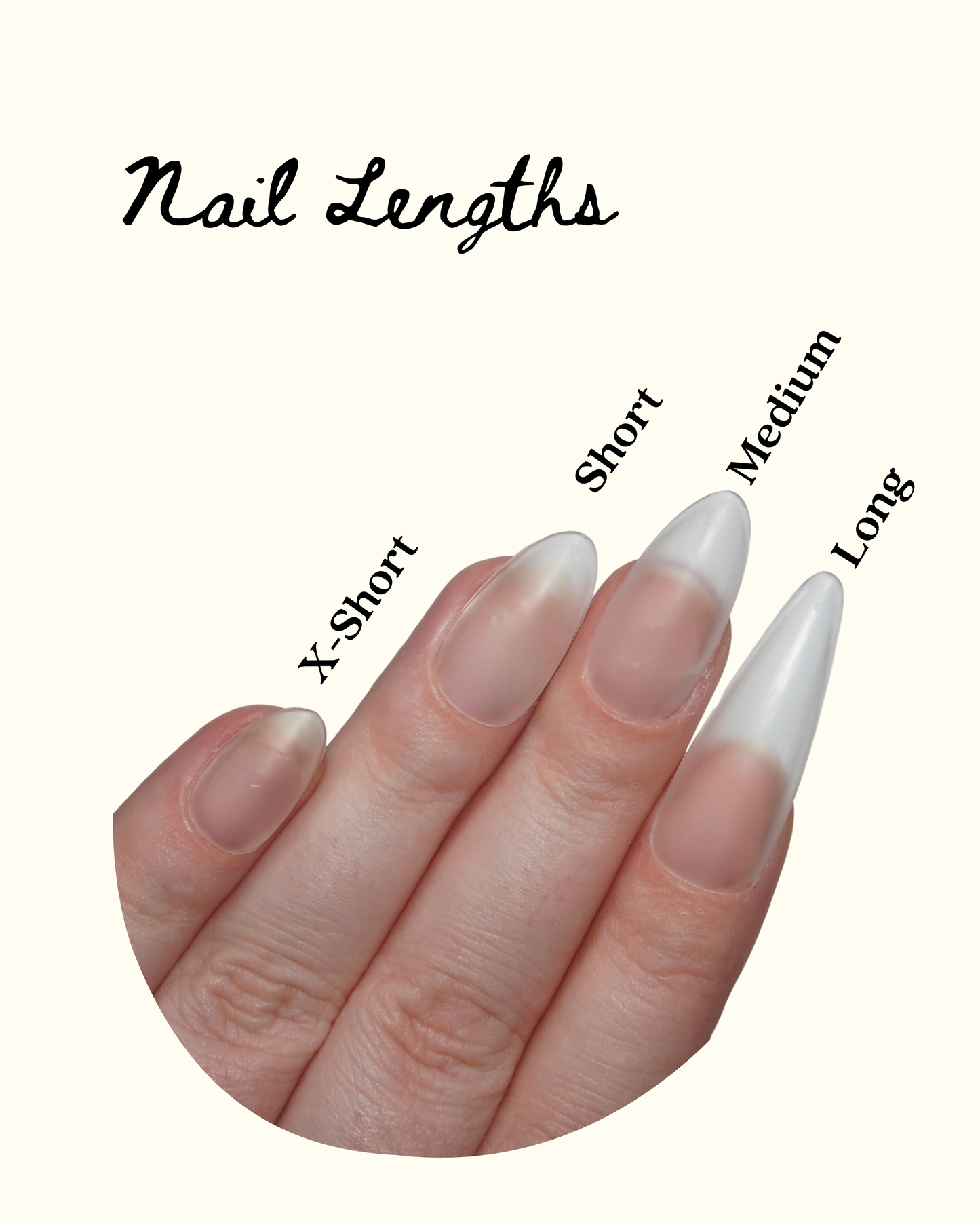 Tier 3: Luxe Custom Set